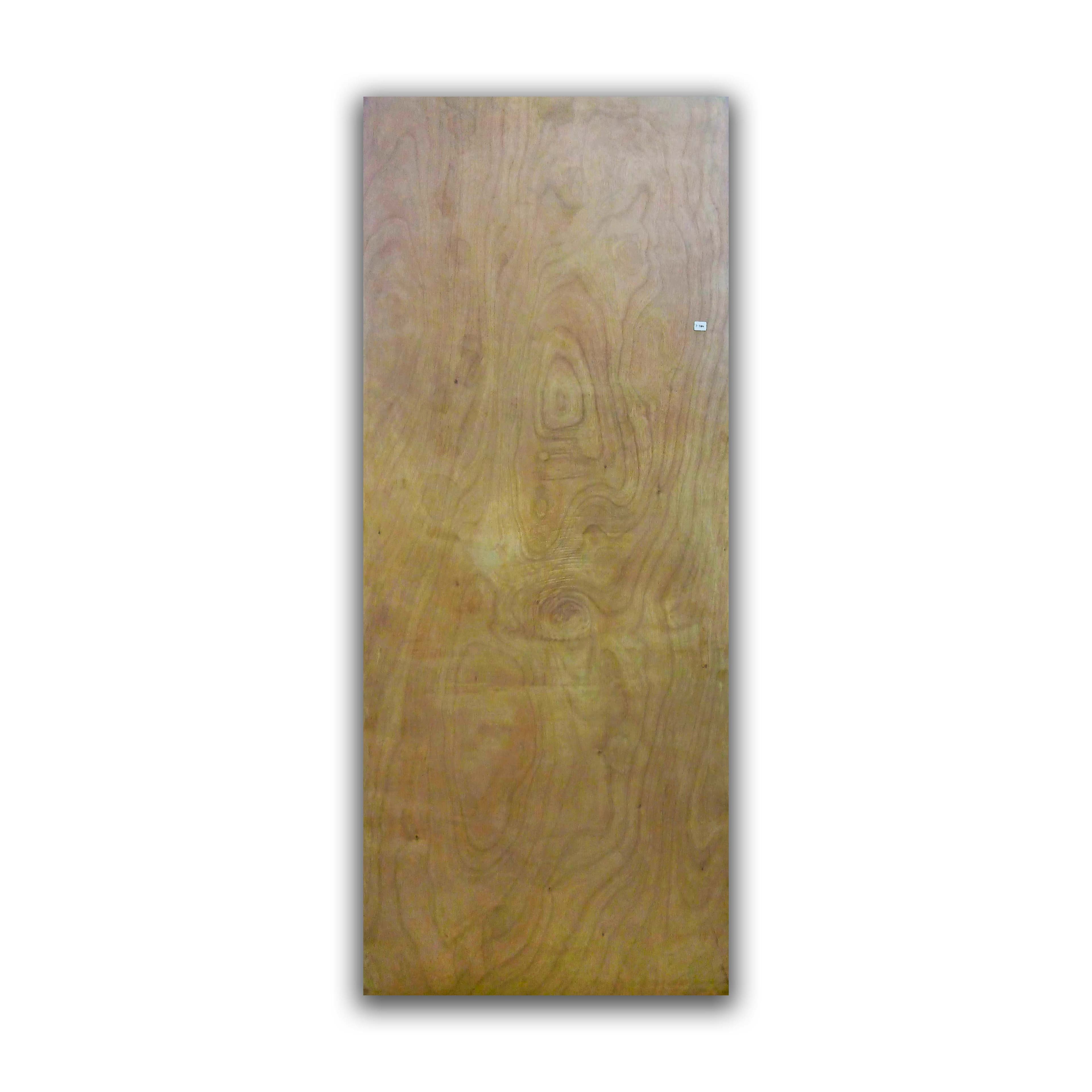 Solid Flush Door